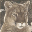 boguslawaryj's Avatar