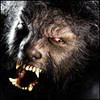 idezawufi's Avatar
