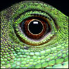 yfyhixe's Avatar