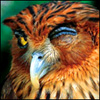 itaxuwyhy's Avatar
