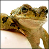 ymovavox's Avatar