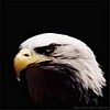 ojalu's Avatar
