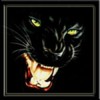 aposujal's Avatar