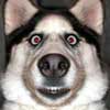 egezumy's Avatar
