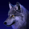 israfaceGiz's Avatar