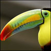 acofuwy's Avatar