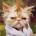 eqakotep's Avatar